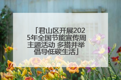君山区开展2025年全国节能宣传周主题活动 多措并举倡导低碳生活